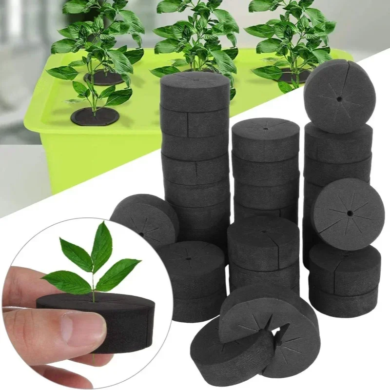 Smart Garden Plastic Cups - 10/50pcs Garden Soilless Cultivation Nursery Sponge