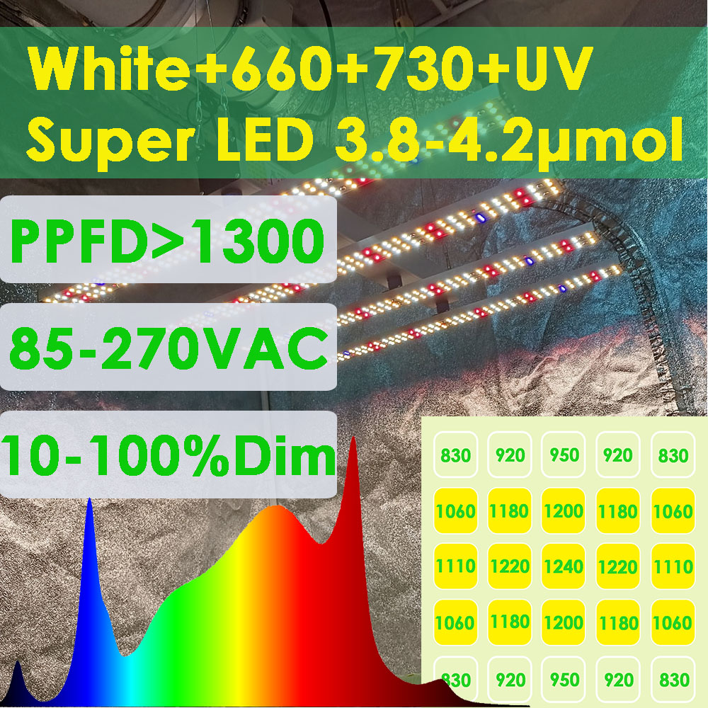Grow Tent Complete Kit - SOLIDEE 240W Quick Spider L2 LED