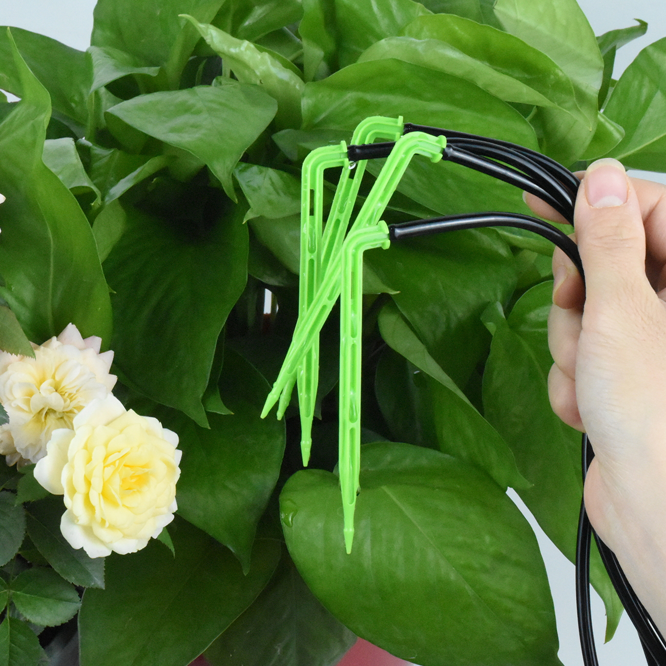 KESLA Garden 4/7mm to 3/5mm Ho - Smart Garden Auk review and price