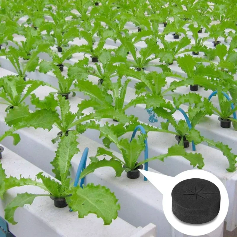 10/50pcs Garden Soilless Culti - Smart Garden Plastic Cups review and price