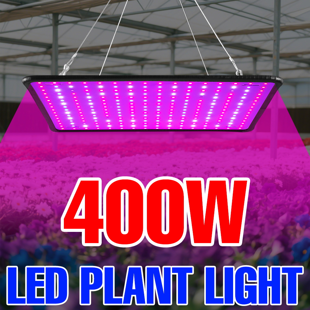 400W LED Grow Light Full Spect - Grow Tent Complete Kit review and price