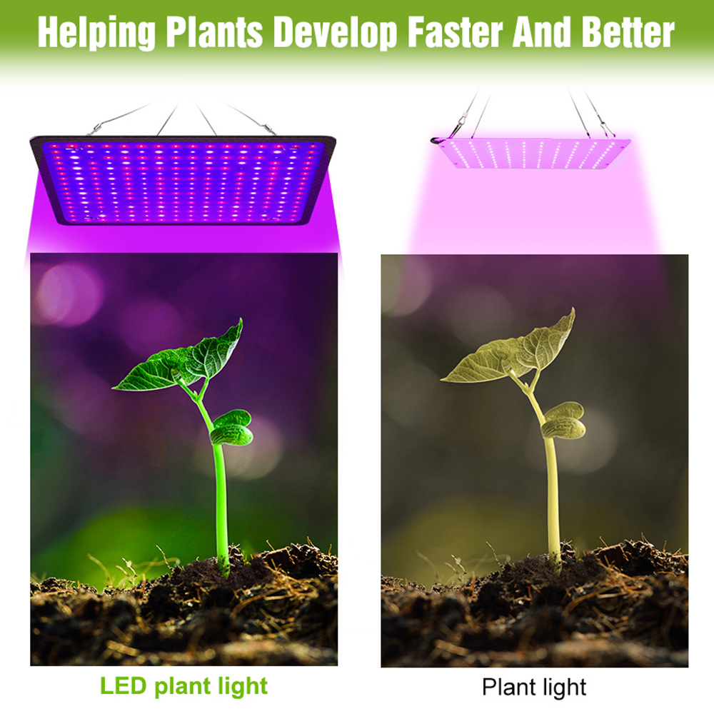 400W LED Grow Light Full Spect - Grow Tent Complete Kit review and price