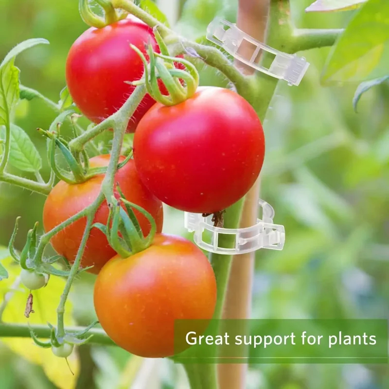 50-300PCS Plant Support Clips  - Smart Garden Furniture review and price
