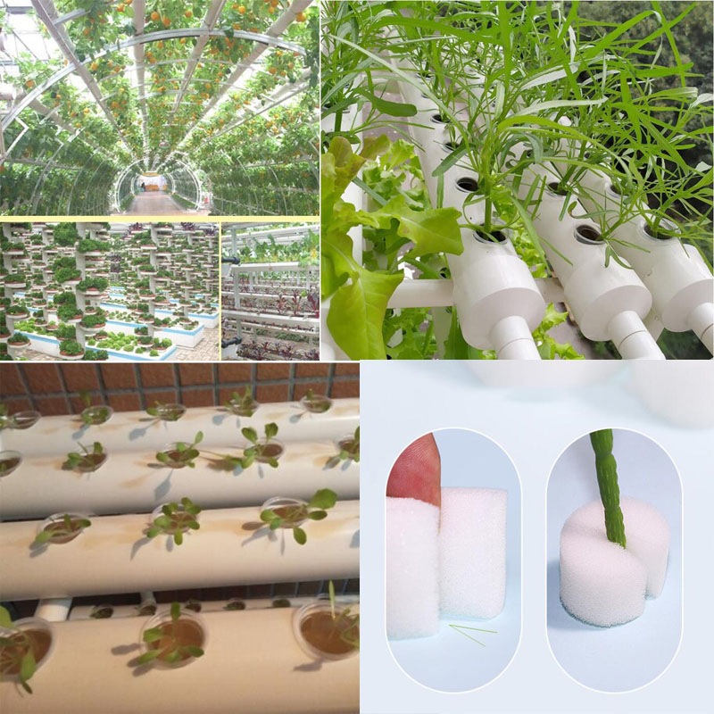 8 sizes greenhouse Soilless Me - Smart Garden Plastic Cups review and price