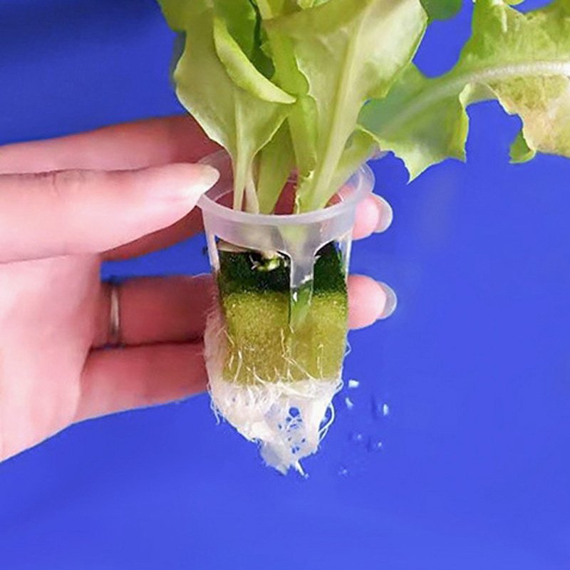 200pcs Hydroponic Basket Veget - Smart Garden Plastic Cups review and price