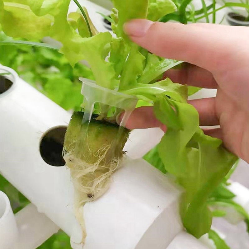 200pcs Hydroponic Basket Veget - Smart Garden Plastic Cups review and price