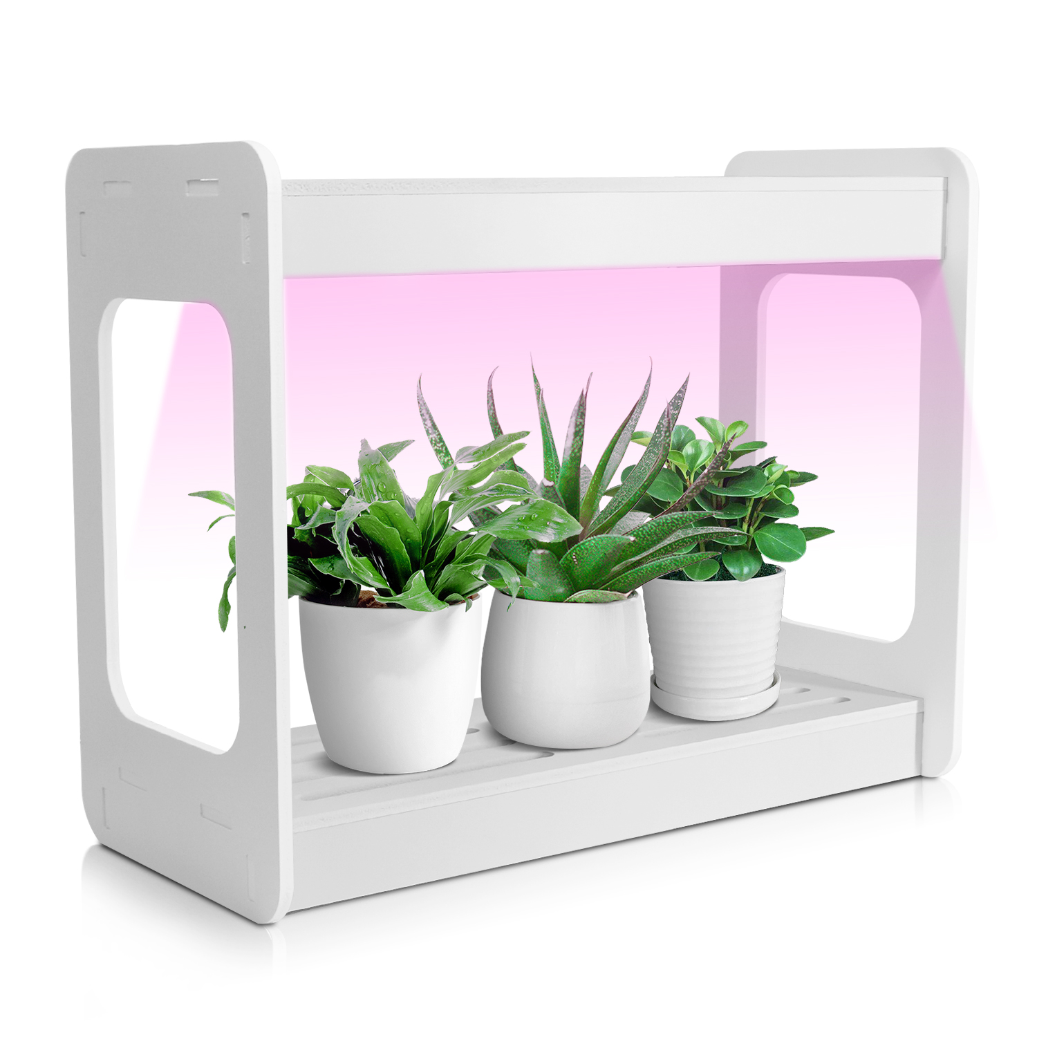 Smart Mini LED Grow Light Syst - Smart Garden In Home review and price