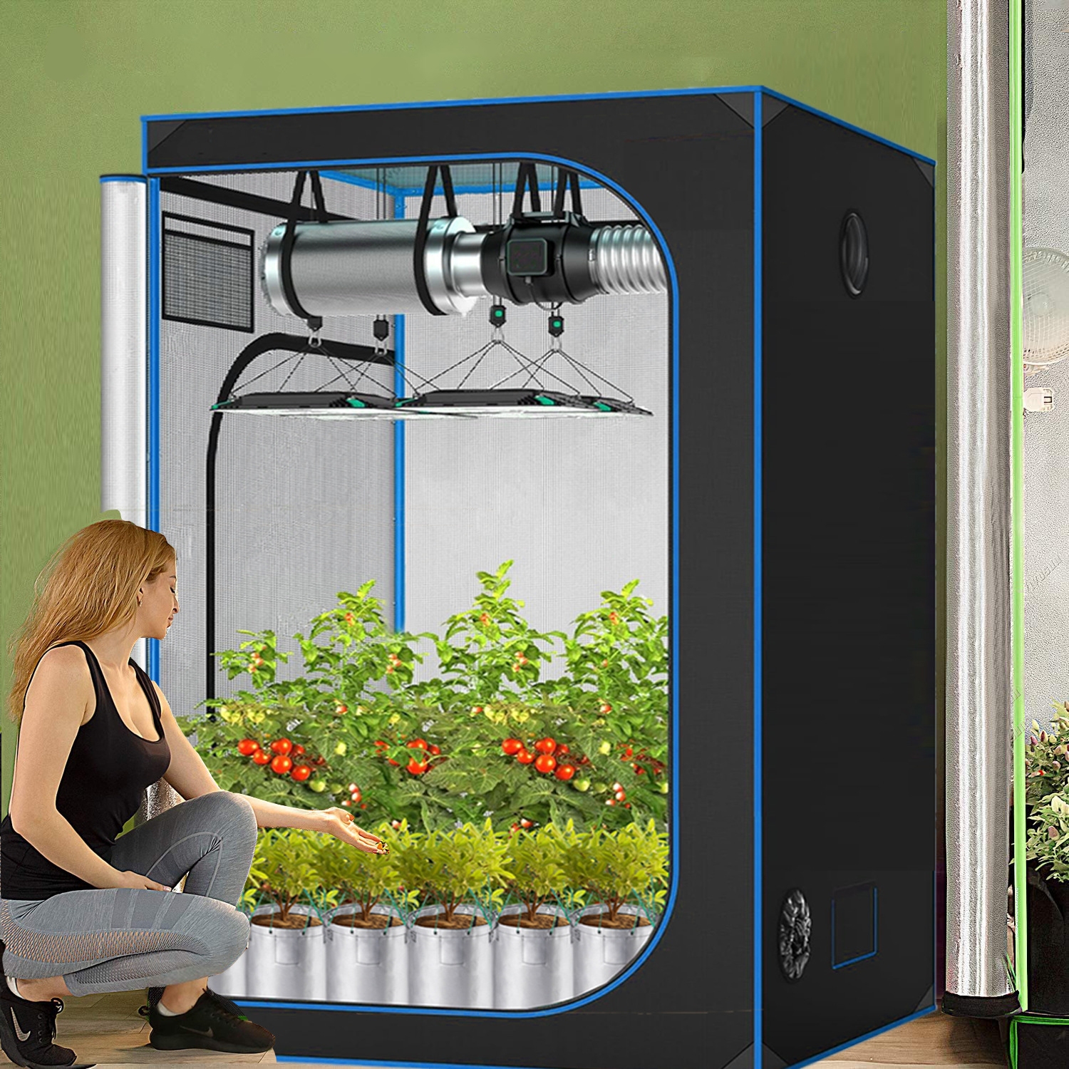 C3 Greenhouse Indoor Grow Tent - Grow Tent Complete Kit review and price