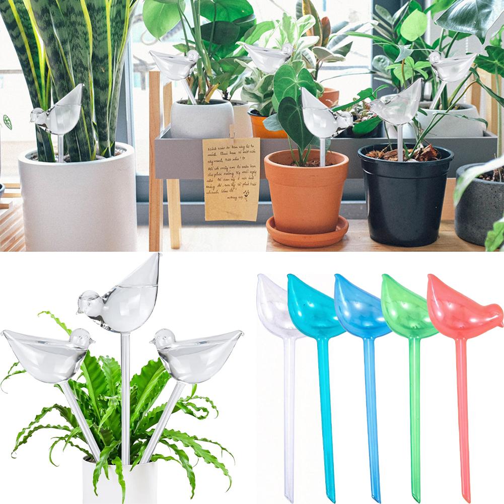 Automatic Plant Watering Bulbs - Smart Garden Auk review and price