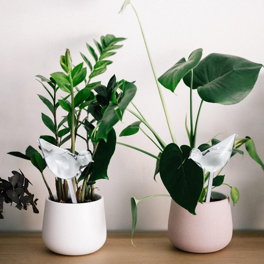 Automatic Plant Watering Bulbs - Smart Garden Auk review and price