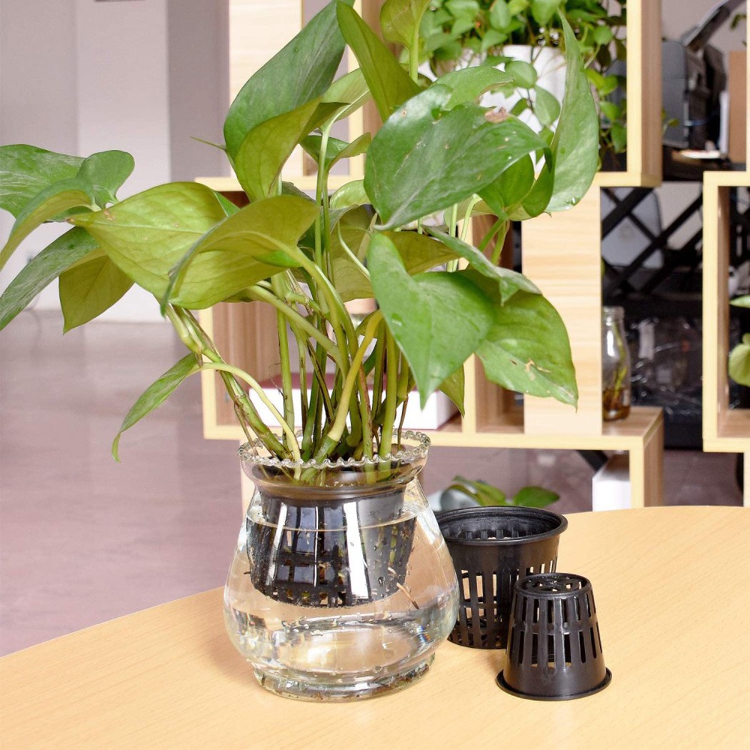 25PCS Hydroponic Pot Net Cup H - Smart Garden Plastic Cups review and price