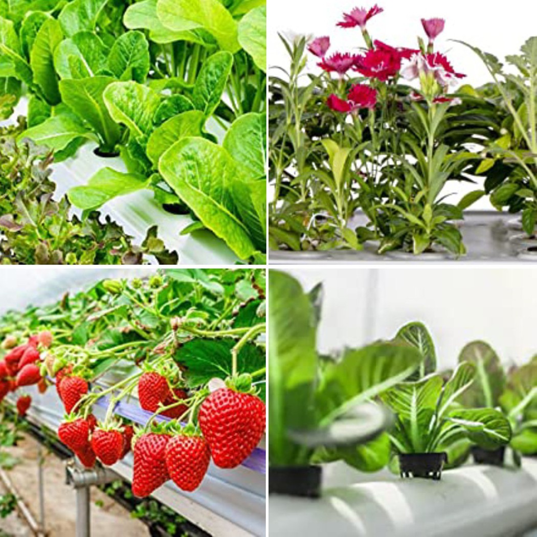25PCS Hydroponic Pot Net Cup H - Smart Garden Plastic Cups review and price