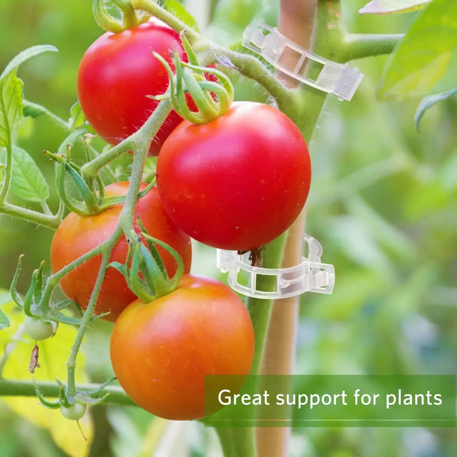 500/50PCS Plant Support Clips  - Smart Garden Furniture review and price
