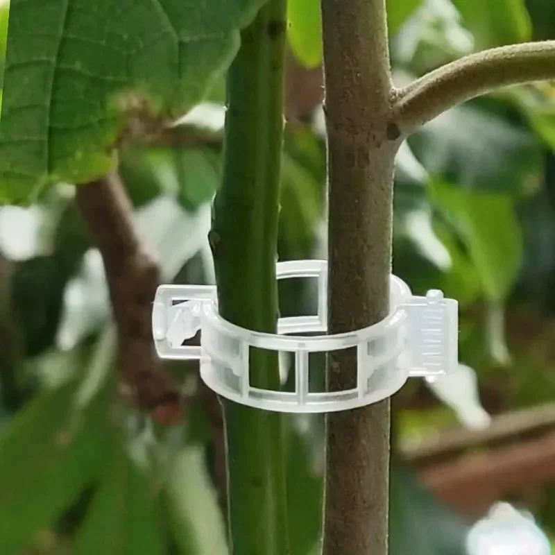 500/50PCS Plant Support Clips  - Smart Garden Furniture review and price