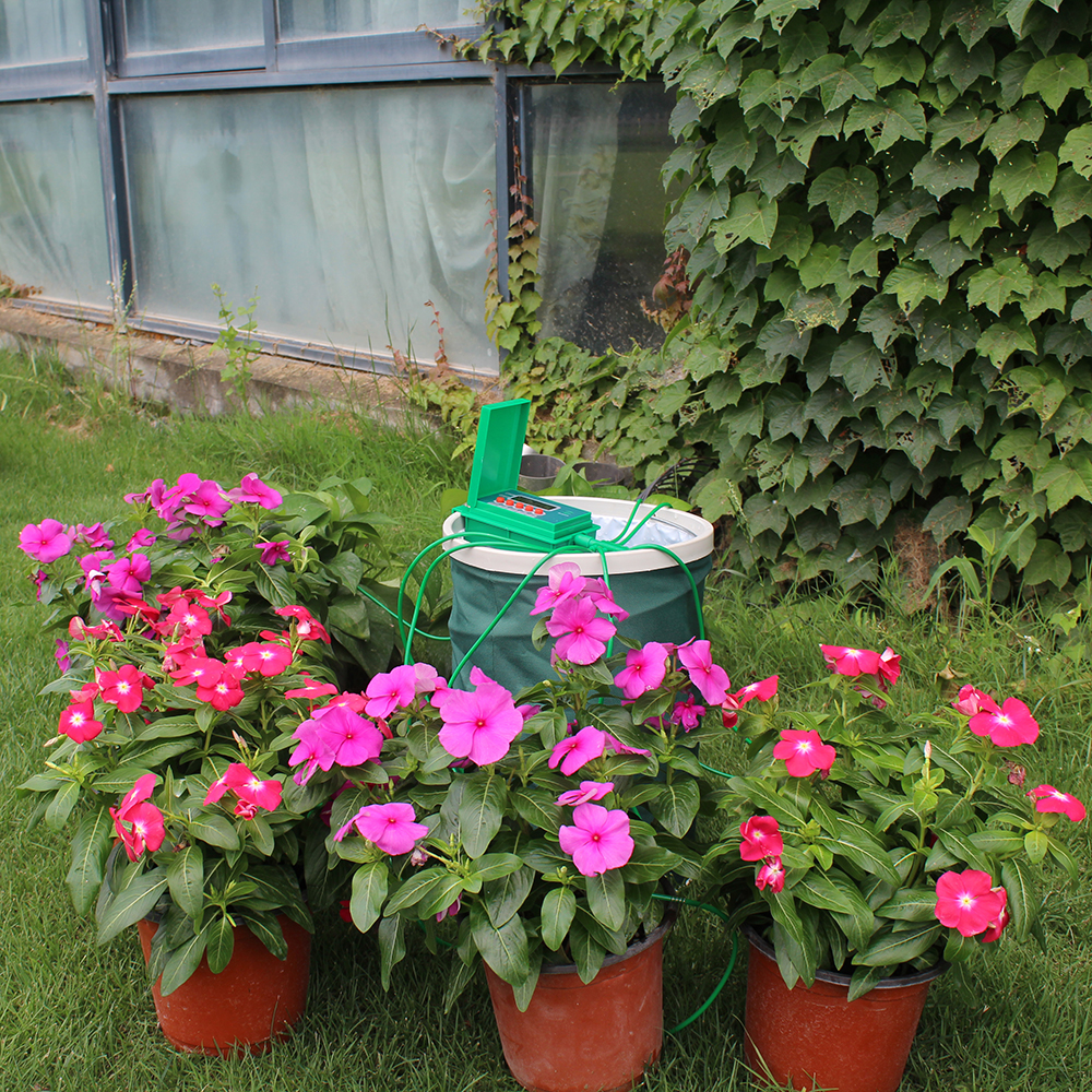 Garden Automatic Pump Drip Irr - Smart Garden Watering Can review and price