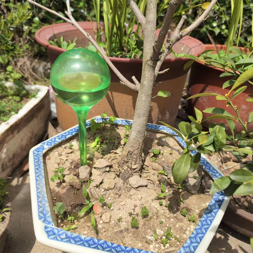 Automatic Plant Watering Bulbs - Smart Garden Auk review and price