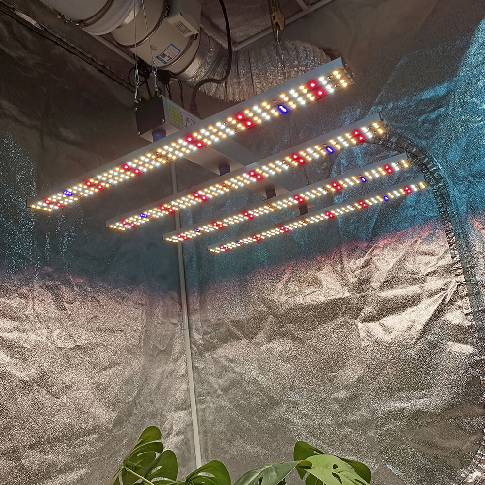SOLIDEE 240W Quick Spider L2 L - Grow Tent Complete Kit review and price