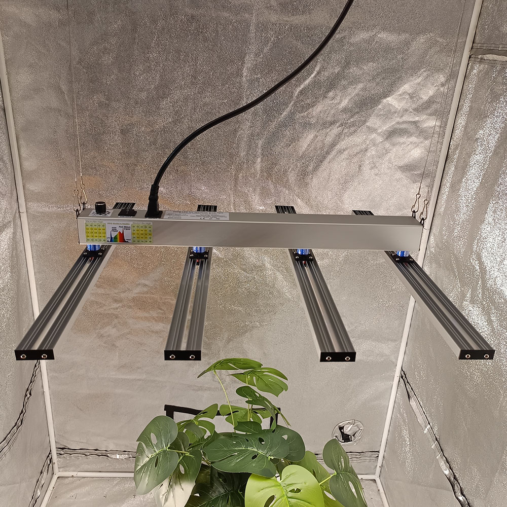 SOLIDEE 240W Quick Spider L2 L - Grow Tent Complete Kit review and price
