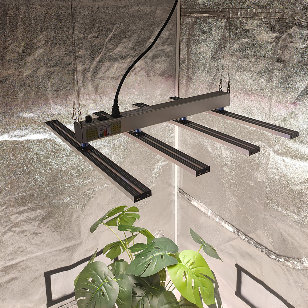 SOLIDEE 240W Quick Spider L2 L - Grow Tent Complete Kit review and price
