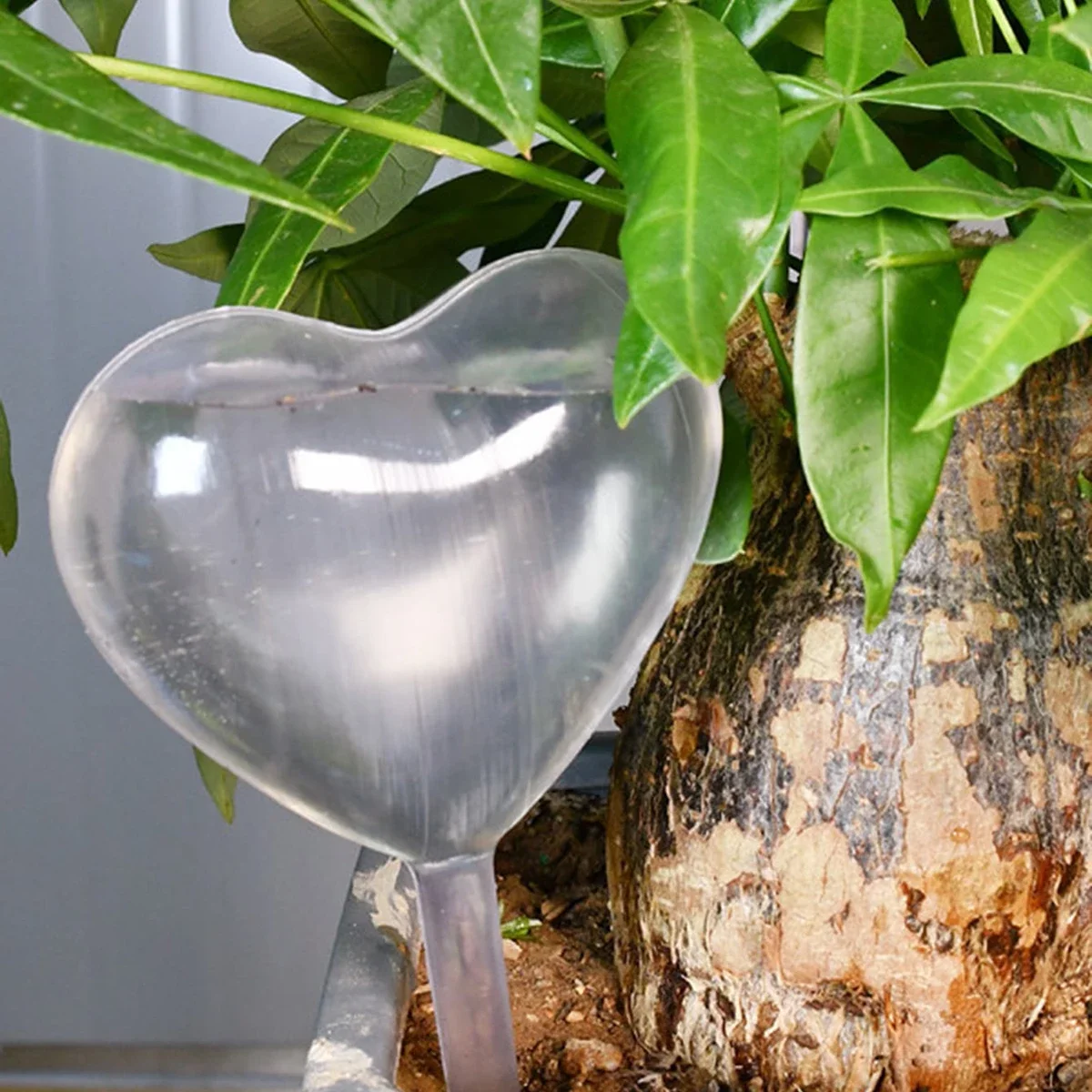 1pc Automatic Plant Watering B - Smart Garden Auk review and price