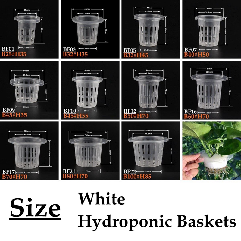 10Pcs White Hydroponic Soilles - Smart Garden Plastic Cups review and price