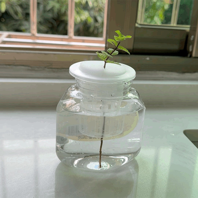 Soilless Sponge Hydroponic Pla - Smart Garden Plastic Cups review and price