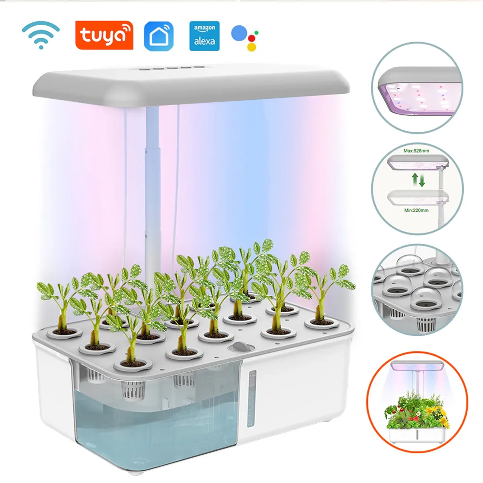 Tuya WiFi Plant Hydroponics Sy - Smart Garden Plastic Cups review and price
