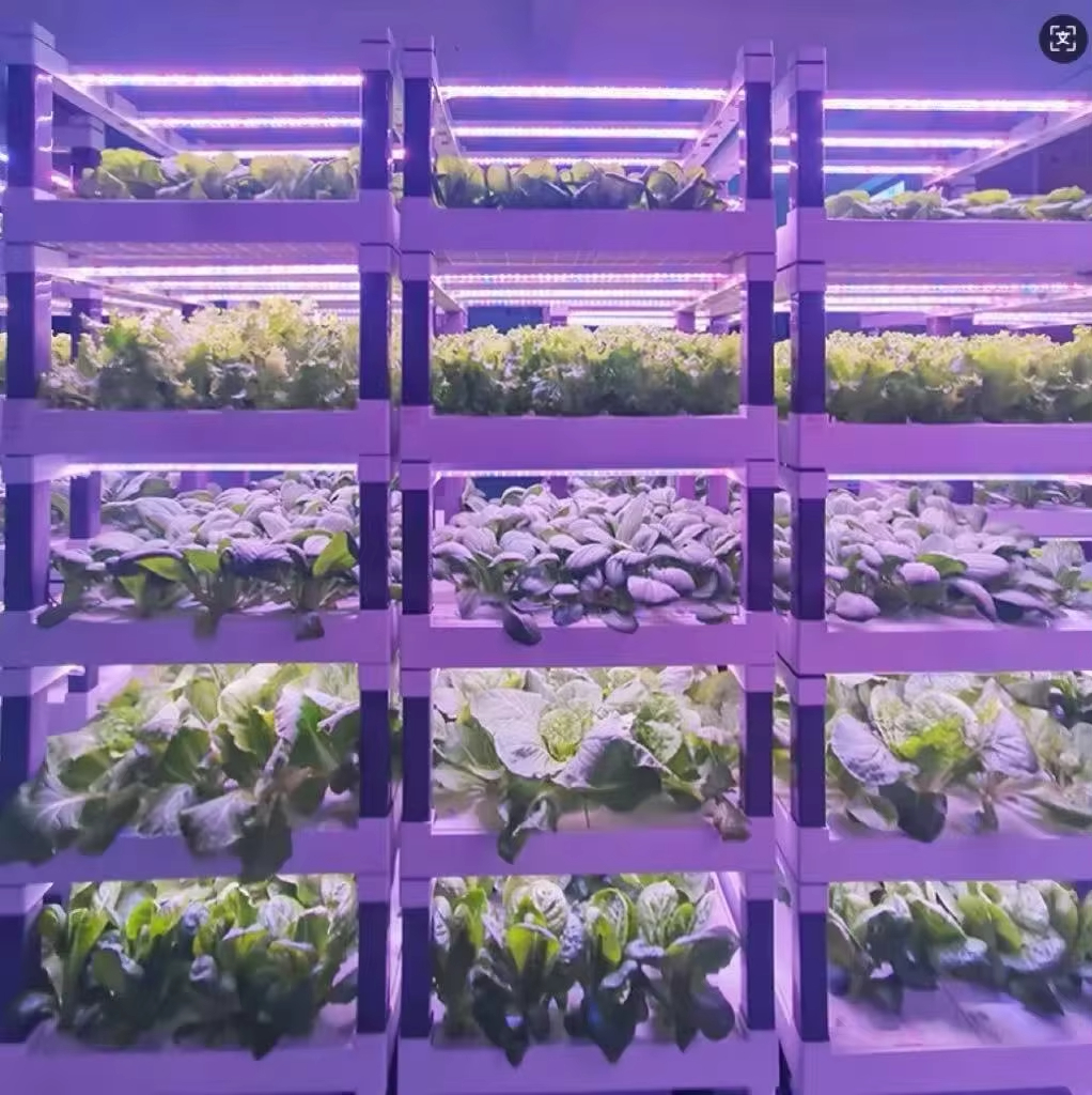 Hydroponic Grow System Greenho - Smart Garden In Home review and price