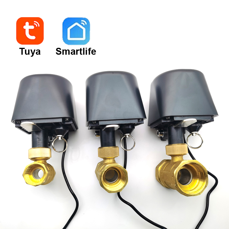 Tuya WiFi or Zigbee Water Valv - Smart Garden Zigbee review and price